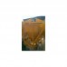 KIBBLE CONCRETE BUCKET 1 CBM